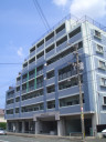GR麦野