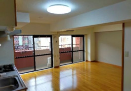 シャンボール大名の補足画像2