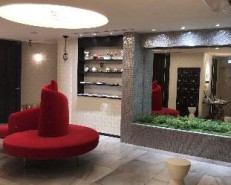 ｵﾌｨｽﾆｭｰｶﾞｲｱLAPIS薬院の補足画像2