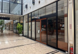 パピヨン24の補足画像2