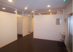 shin-watanabedoriの補足画像2